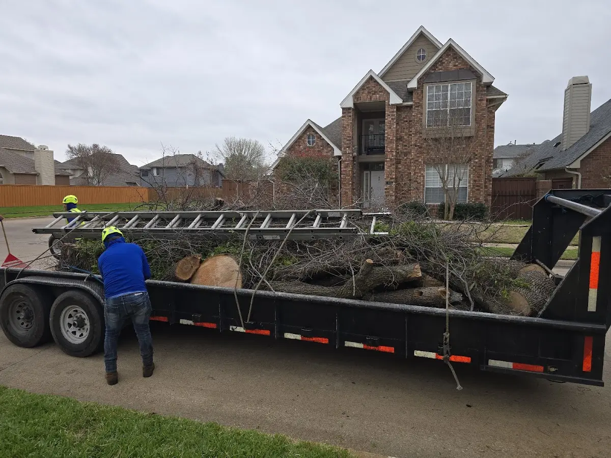 Expert Tree Removal with proper safety equipment in Floral City
